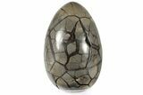 10.7" Septarian "Dragon Egg" Geode - Removable Section - #203811-3